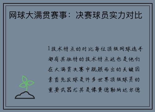 网球大满贯赛事：决赛球员实力对比