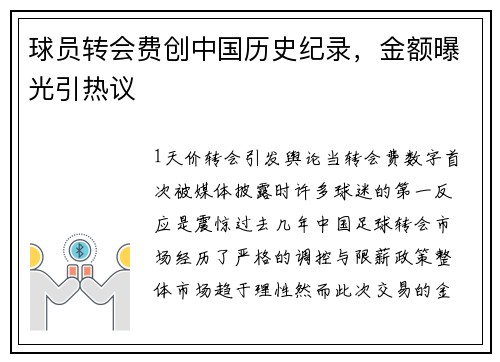 球员转会费创中国历史纪录，金额曝光引热议